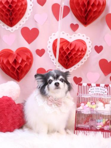 20240227ミルクくん